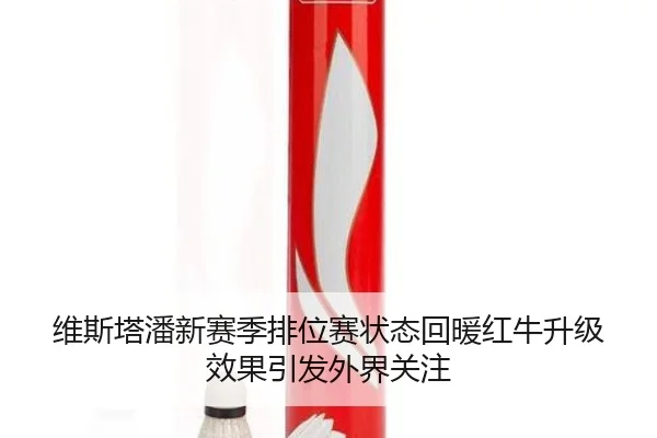 维斯塔潘新赛季排位赛状态回暖红牛升级效果引发外界关注